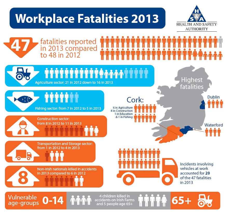 Fatalities 2013 Infographic